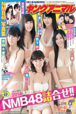 新生电视剧