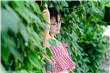 你哭着对我说