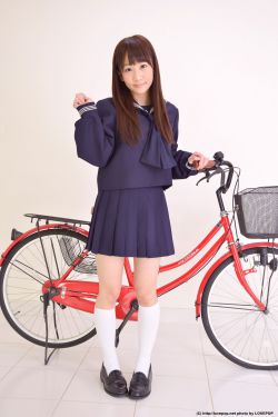 玫瑰的故事电视剧演员表