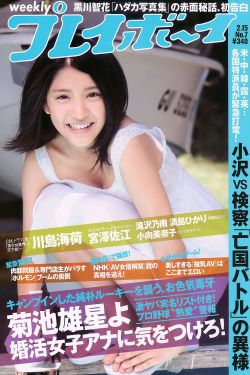 玩具总动员