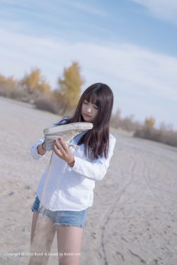 丁宝桢