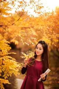 我的办公室老婆维修人员的培训